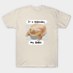 It is Wednesday my Dudes V4 T-Shirt